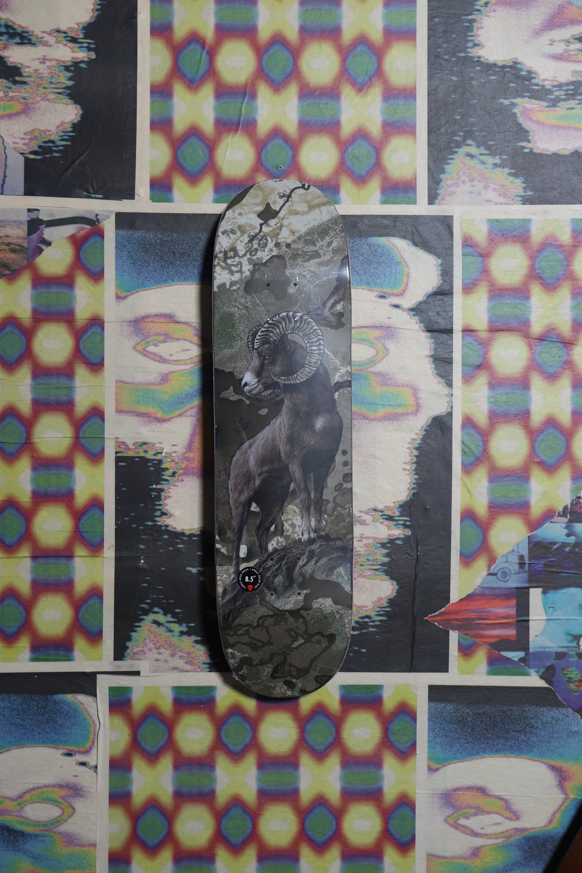 Zero x Realtree “Bighorn” Deck 8.5 (Arunski)