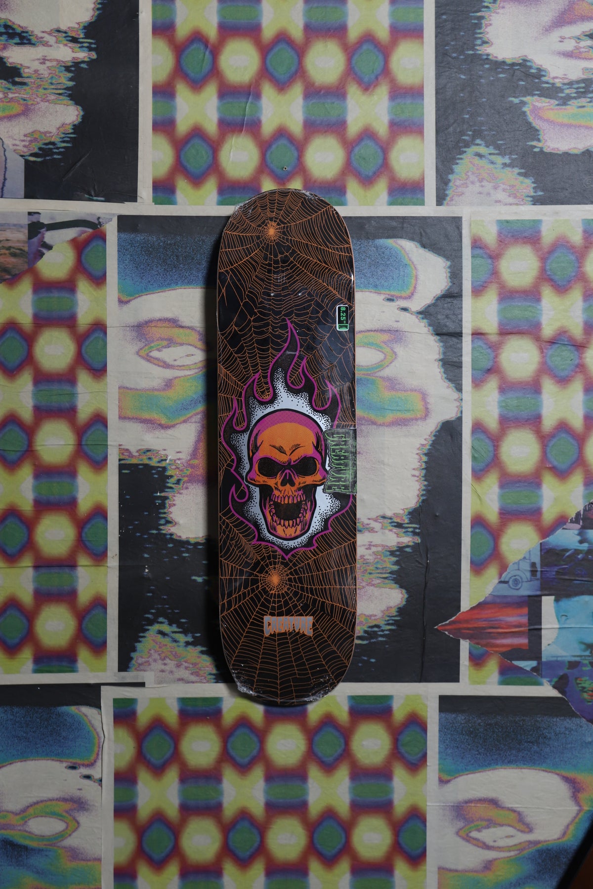 Creature “Bonehead Web” (Orange) Deck 8.25