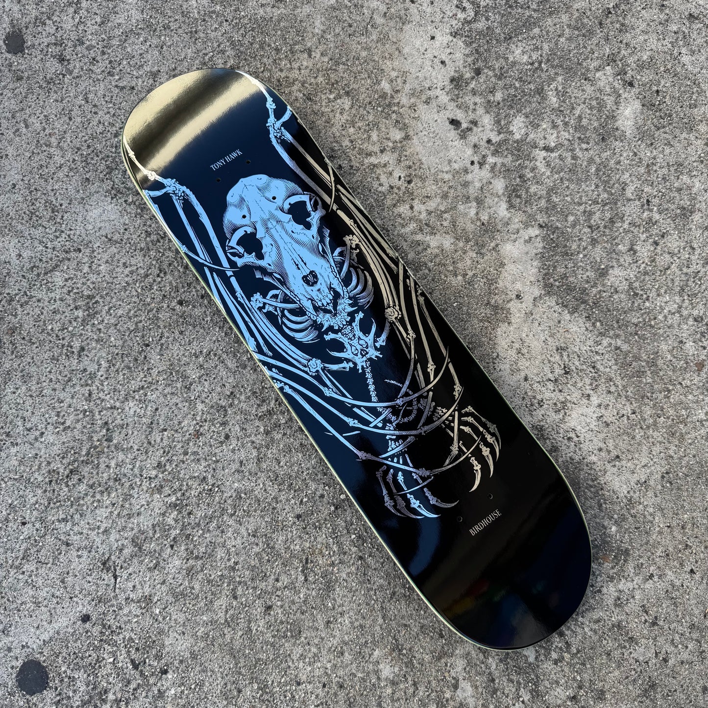 Birdhouse Hawk Bat Foil Deck 8.125