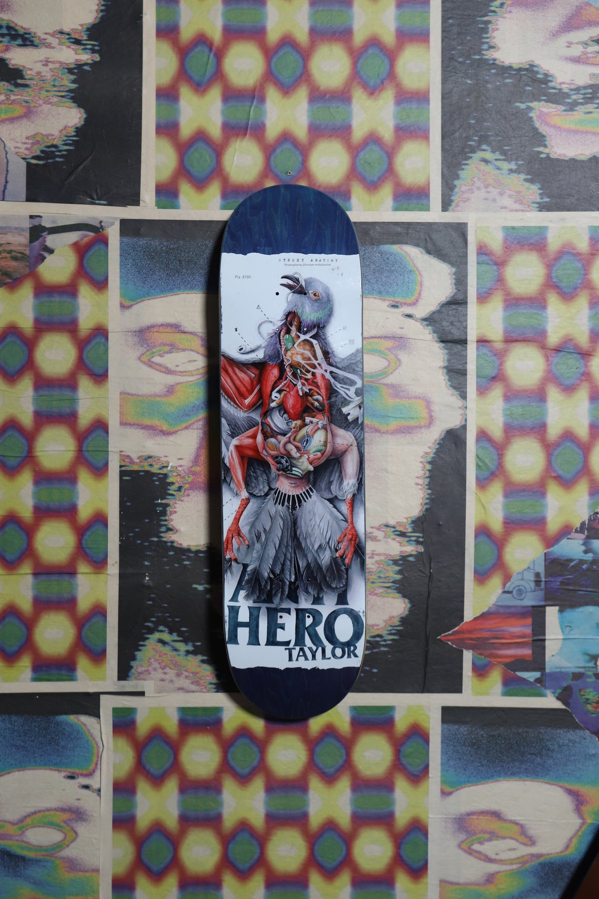 Anti-Hero “Street Anatomy” Deck 8.5 (Taylor) Factory Defect